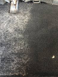 Here's how to get rid. Dog Hair Removal Car Wash Sedona Arizona