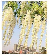 At wisteria, we believe every home tells a story; 12pcs Lot Artificial 105cm Home Decor Wisteria Silk Flower Holiday Decoration Weddings Events Simulation Flower White By Fatcolo Buy Online In Aruba At Aruba Desertcart Com Productid 48119450