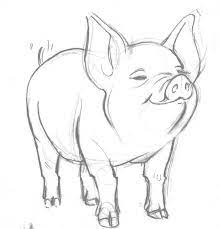 Рисунок свиньи