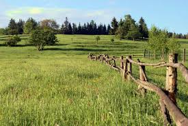 Das thüringer rhönhaus ist ein super startpunkt um mit den wandertouren auf den beschilderten wanderwegen der rhön zu beginnen. Startseite