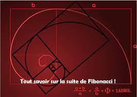 Suite De Fibonacci Est Elle Utile Ou Seulement Mystique Gaiamamart