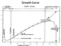 A549 cell line origin the a549 cell line was established in 1972 by d.j. Lec 15 Animal Cell Lines And Culturing Ppt Video Online Download