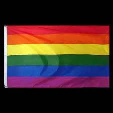 Regenboogvlag klein voor de prijs van € 2,65 excl. Regenboog Vlag 90x150cm Kopen De Horeca Bazaar