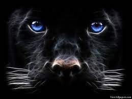 3d Black Tiger Blue Eyes 3d Abstract Hd Wallpapers Black Panther Hd Wallpaper Jaguar Wallpaper Tiger Wallpaper 121 tiger wallpapers (laptop full hd 1080p) 1920x1080 resolution. 3d black tiger blue eyes 3d