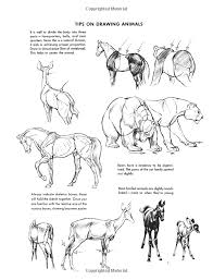 The Art Of Animal Drawing Construction Action Analysis Caricature Dover Art Instruction Ken Hultgren Animal Drawings Realistic Animal Drawings Drawings