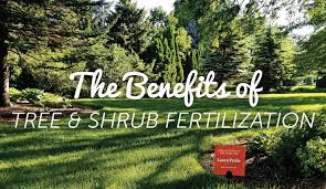 There are shrubs and flowers that become invasive if their grower doesn't control them (this is where you come in!). The Benefits Of Tree Shrub Fertilization Lawn Pride