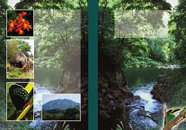 PROGRAMA DE CONSERVACIÓN Y MANEJO RESERVA DE LA BIOSFERA LOS TUXTLAS