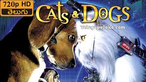 Cats Dogs 2001 720p Bdrip Multi Audio Telugu Dubbed Movie Dog Movies Dog Cat Dogs