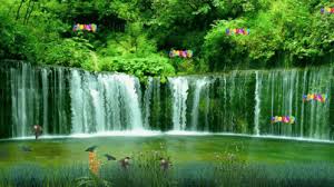 View, download, rate, and comment on 202 nature gifs. Waterfall Nature Gif Waterfall Nature Green Discover Share Gifs