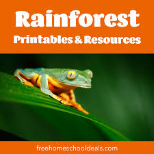 free rainforest printables resources free homeschool deals c