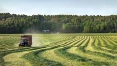 Růženou se prohnala bouřka s kroupami. Bourky V Nemecku Ochromily Provoz Na Silnicich I Na Letisti Ve Frankfurtu Bylo Zruseno Pres 130 Letu Irozhlas Spolehlive Zpravy