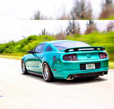 One color vinyl decal sticker. Gloss Custom Vinyl Wrap Star Car Wraps Gloss Wraps 3m Preferred