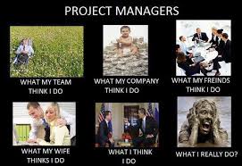 Project Managers What They Actually Do Project Management Project Management Quotes Project Management Tools