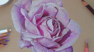 Drawing A Realistic Rose Colored Pencils Paintingtube 4 steps to draw a rose. realistic rose colored pencils