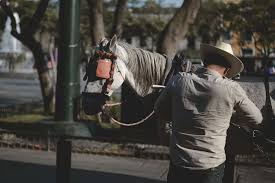 See more ideas about cowgirl, diy, cowgirl magazine. Weekend Cowgirl A Lone Star State Guide To Living In Texas