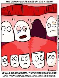  51 Dental Humor Ideas Dental Humor Dental Humor