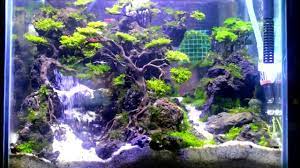Aquascape Waterfall 40cm Youtube Aquascape Fish Tank Freshwater Aquarium