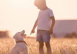 Dog Training For Kids Teach Your Kids To Train The Dog