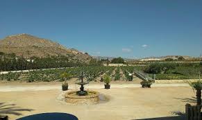 La bodega en la que actualmente se elaboran los vinos cesilia tiene su origen en la heretat que el marqués de romana creó en 1707. Lovely Tour Review Of Bodega Casa Cesilia Novelda Spain Tripadvisor