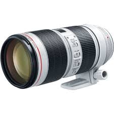 Canon 100 400 Ii With 1 4 Extender Thick Camera Dslr Low Lights Dslrphotography Dslrcameraforbeginnerscanon Canon Lens Best Canon Lenses Canon Digital Slr Camera