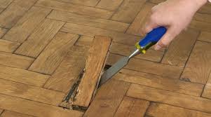 Appliquez dans le sens des fibres du bois au rouleau (à poils ras) spécial vitrification. Comment Vitrifier Un Parquet Gamboahinestrosa