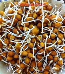 Empty the batter into a wide bowl, add finely chopped onions, turmeric powder, hing or asafoetida, sesame seeds, cumin seeds and salt to taste. How To Grow Moong Green Gram And Kale Chane Black Gram Sprouts Delishably