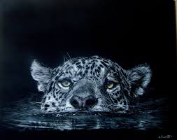 One Of My Latest Scratchboard Paintings Crossing The Pantanal Scratchboard Scratchboard Art Featured Artist