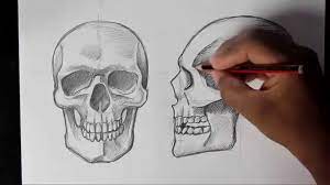 The lowest point of the skull oval shape. How To Draw Human Skull Front Profile Human Anatomy Youtube