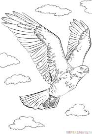 Bird Drawing For Kids Flying Image Result For Flying Peregrine Falcon Drawing Flying Bird Drawing Falcon Drawing Bird Drawings