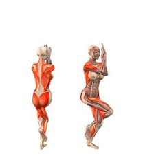 Garudasana Eagle Pose Left Yoga Com Yoga Anatomy Yoga Muscles Hatha Yoga