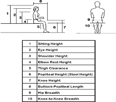 Image result for Sitting Height