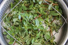 It also protects the skin, builds strong bones, and increases circulation. Purslane Recipes You Have To Try Hilda S Kitchen Blog