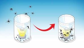 Maybe you would like to learn more about one of these? 19 Effective Natural Ways To Get Rid Of Mosquitoes At Home