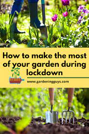 Make a row about a foot wide, scatter the seed out fairly thinly, then cover with a small amount of soil. How To Make The Most Of Your Garden During Lockdown Gardening For Kids Garden Garden Center