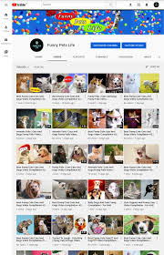 Funny Pets Life Youtube Channel Link Facebook