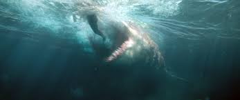 Themeghindi the meg hindi openload, the meg hindi dubbed movie download filmyzilla, #themeginhindidownload. Ranked The Top 10 Killer Shark Movies From Jaws To The Meg