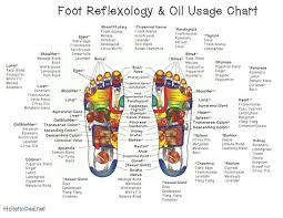 Foot Reflexology Oil Application Chart Essential Oil
