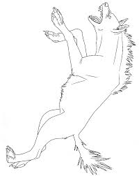 To print hyena coloring pages click on the link of required size.this will open a new window of printable coloring image.in the new window you will see print link on upper right corner of window, click on the link to print hyena coloring page. Hyena Coloring Page Animals Town Animals Color Sheet Hyena Free Printable Coloring Pages Animals