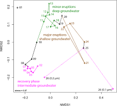 Lipid analysis of CO2-rich subsurface aquifers suggests an autotrophy-based  deep biosphere with lysolipids enriched in CPR bacteria