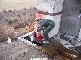 Even though the accident happened in 2006, apparently nikki catsouras' are appealing their lawsuit (they lost) agains the two idiot cops who leaked the car accident photos onto the internet. Veiksmas BeprotybÄ— Kvapas Nikki Catsouras Dead Yenanchen Com