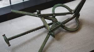 Image result for Hippocratea pallens