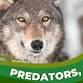 Predators, Prey & Pastries