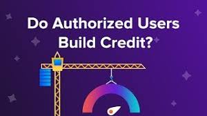 Authorized user credit card credit score. Do Authorized Users Build Credit