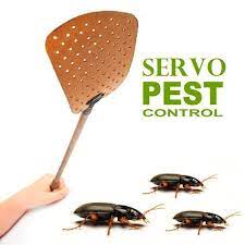 United states of america, commonwealth of virginia, fairfax county, falls church. All American Pest Control Home Facebook