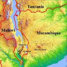 Image result for Crassula zombensis