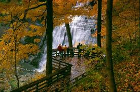Cuyahoga valley national park's landscape is dotted with forests, rock formations, cliffs, and rolling hills. A Day In The Park Cuyahoga Valley National Park National Parks Traveler