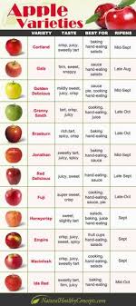 16 Great Apple Recipes Images In 2019
