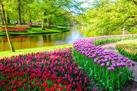 We did not find results for: 50 Photos Of The Netherland S Biggest Gardens 7 Million Blooms Diy Crafts
