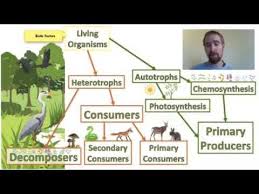 Biotic And Abiotic Factors In An Ecosystem Video What S The Difference Between Abiotic And Biotic Abiotic Factors Refer To Non Living Physical And Chemical Elements In The Ecosyste In 2020 Abiotic Ecosystems Biology