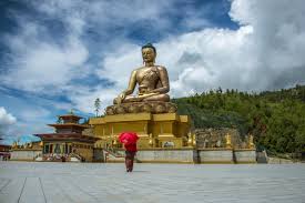 Bhutan is a paradise for bird lovers and ornithologists. Discover Bhutan Your Field Guide To Happiness